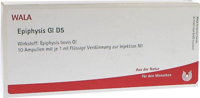 EPIPHYSIS GL D 5 Ampullen - 10X1ml