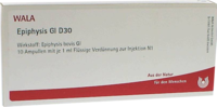 EPIPHYSIS GL D 30 Ampullen - 10X1ml