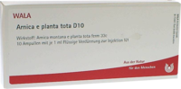 ARNICA E Planta tota D 10 Ampullen - 10X1ml
