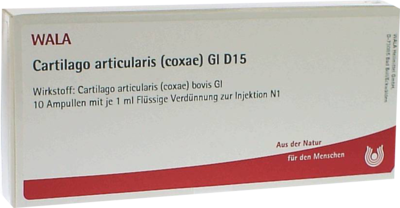 CARTILAGO articularis coxae GL D 15 Ampullen - 10X1ml