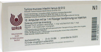 TUNICA mucosa intestini tenuis GL D 12 Ampullen - 10X1ml