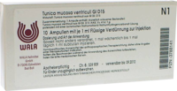 TUNICA mucosa ventriculi GL D 15 Ampullen - 10X1ml