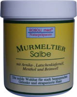 ROSOLIMED MURMELTIERSALBE - 100g