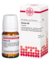 ARNICA C 6 Tabletten - 80Stk