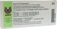 ISCUCIN pini Potenzreihe II Ampullen - 10X1ml