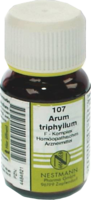 ARUM TRIPHYLLUM F Komplex Nr.107 Tabletten - 120Stk