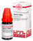 AGARICUS LM XXX Dilution - 10ml