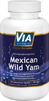 VIAVITAMINE Mexican wild Yam Kapseln - 120Stk