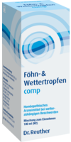 FÖHN- & WETTERTROPFEN comp. - 100ml - Schwindel