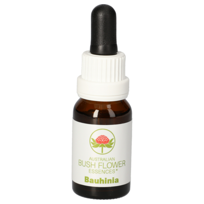 BAUHINIA austr.Bushblüte Tropfen - 15ml