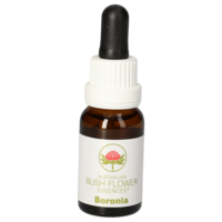 BORONIA austr.Bushblüte Tropfen - 15ml