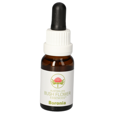 BORONIA austr.Bushblüte Tropfen - 15ml