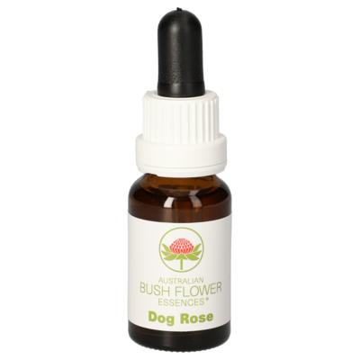 DOG ROSE austr.Bushblüte Tropfen - 15ml