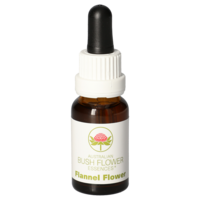 FLANNEL Flower austr.Bushblüte Tropfen - 15ml