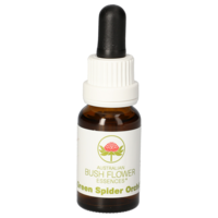 GREEN SPIDER Orchid australische Bushblüte Tropfen - 15ml