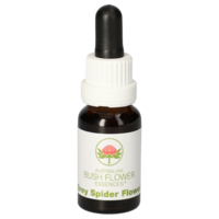 GREY Spider Flower austr.Bushblüte Tropfen - 15ml