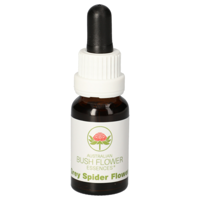 GREY Spider Flower austr.Bushblüte Tropfen - 15ml
