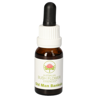 OLD Man Banksia austr.Bushblüte Tropfen - 15ml