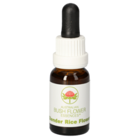 SLENDER Rice Flower austr.Bushblüte Tropfen - 15ml
