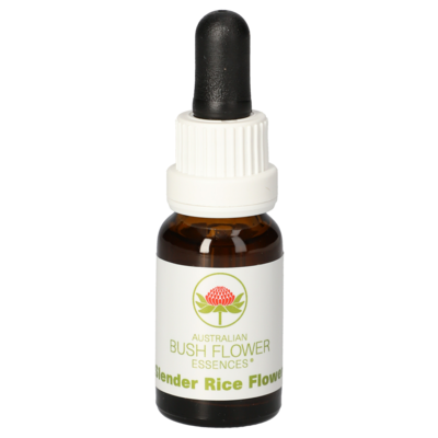 SLENDER Rice Flower austr.Bushblüte Tropfen - 15ml