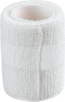 ASKINA Fixierbinde kohäsiv 6 cmx4 m - 1Stk