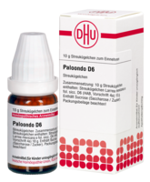 PALOONDO D 6 Globuli - 10g