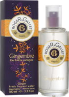 R&G Gingembre Duft Sprühflasche - 100ml