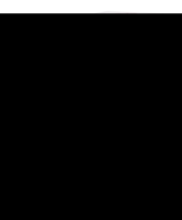 CHININUM SULFURICUM D 4 Globuli - 10g