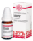 LACHNANTHES tinctoria D 6 Globuli - 10g