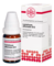 LEVISTICUM OFFICINALIS D 12 Globuli - 10g