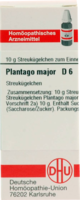 PLANTAGO MAJOR D 6 Globuli - 10g