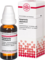 SANGUISORBA OFFICINALIS Urtinktur - 20ml