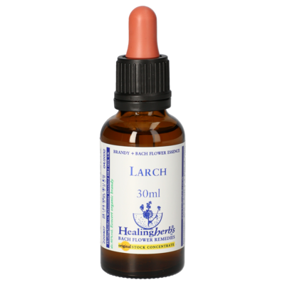 BACHBLÜTEN Larch Healing Herbs Tropfen - 30ml