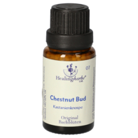 BACHBLÜTEN Chestnut Bud Globuli Healing Herbs - 15g