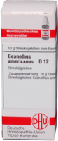 CEANOTHUS AMERICANUS D 12 Globuli - 10g
