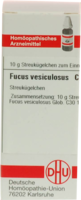 FUCUS VESICULOSUS C 30 Globuli - 10g