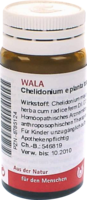 CHELIDONIUM E planta tota D 3 Globuli - 20g