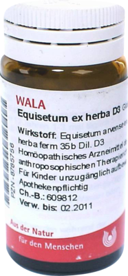 EQUISETUM EX Herba D 3 Globuli - 20g