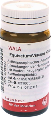 EQUISETUM/VISCUM Globuli - 20g