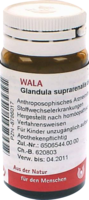 GLANDULA SUPRARENALIS dextra cum Cupro Globuli - 20g