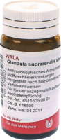 GLANDULA SUPRARENALES sinistra cum Cupro Globuli - 20g