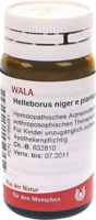 HELLEBORUS NIGER e planta tota D 12 Globuli - 20g