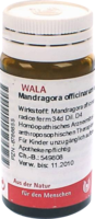 MANDRAGORA OFFICINARIUM e radice D 4 Globuli - 20g