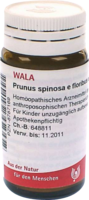 PRUNUS SPINOSA E floribus et summitatibus D 3 Gl. - 20g