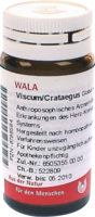 VISCUM CRATAEGUS Globuli - 20g