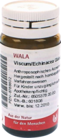 VISCUM ECHINACEA Globuli - 20g
