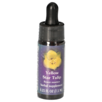 YELLOW Star Tulip FES kaliforn.Blütenessenz Tropf. - 7.5ml