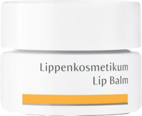 DR.HAUSCHKA Lippenkosmetikum - 4.5ml