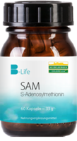 SAM S-ADENOSYLMETHIONIN Kapseln - 60Stk