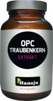 OPC EXTRAKT 400 mg Kapseln - 90Stk